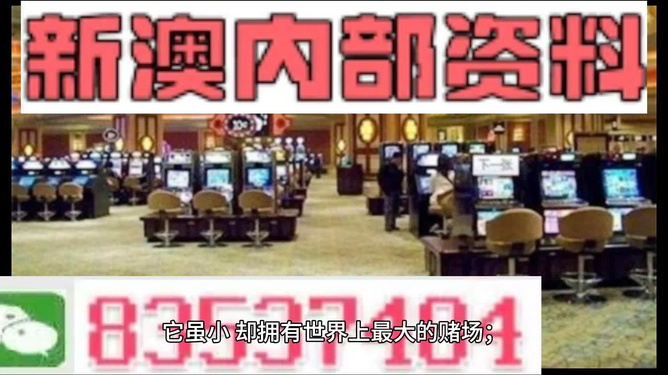 2024澳门精准正版-精选解释解析落实