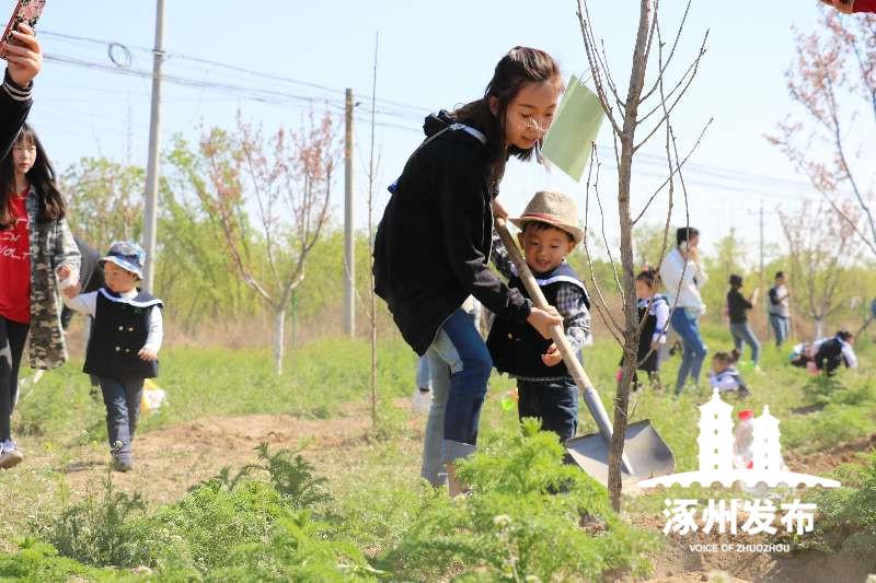 鸿坤理想尔湾最新消息，打造理想居住新标杆